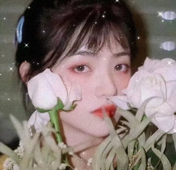 恋爱101度