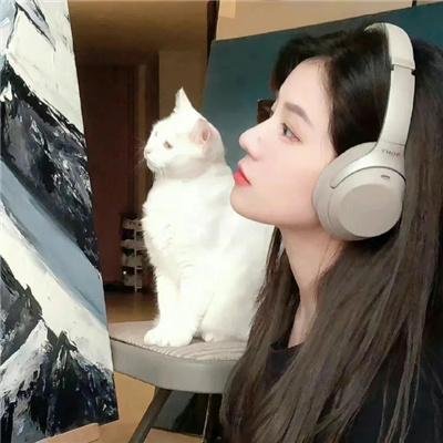 香车绮梦